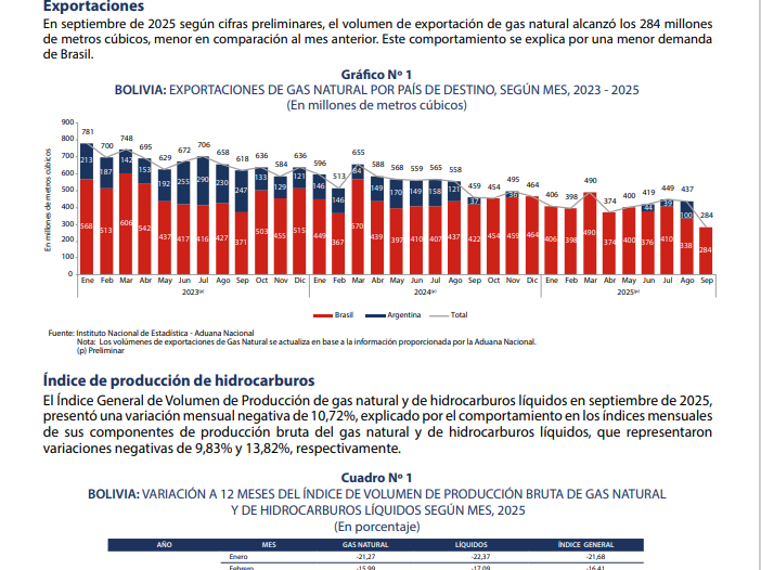 Portada-HIDROCARBUROS N° 11-2025