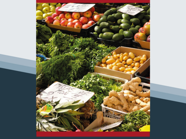 Portada-IPC Noviembre 2025