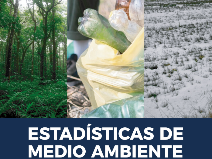 Portada-MEDIO AMBIENTE 2008-2024